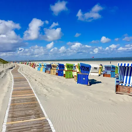 Strandhase *